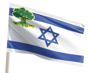 תמיכת סיירת גולני