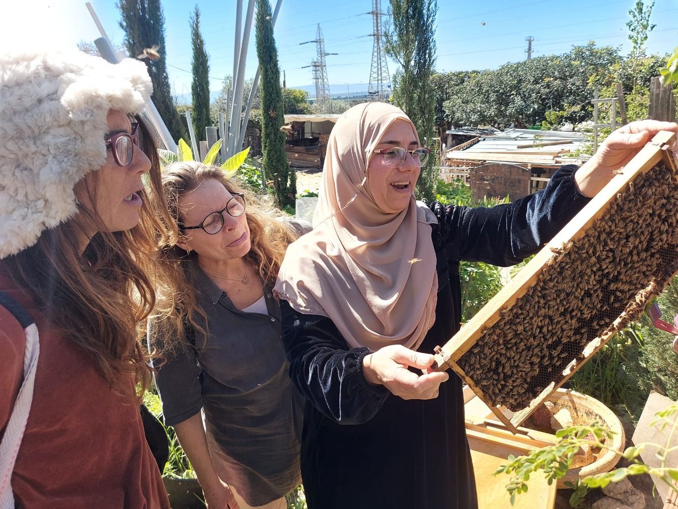Bees For Peace
